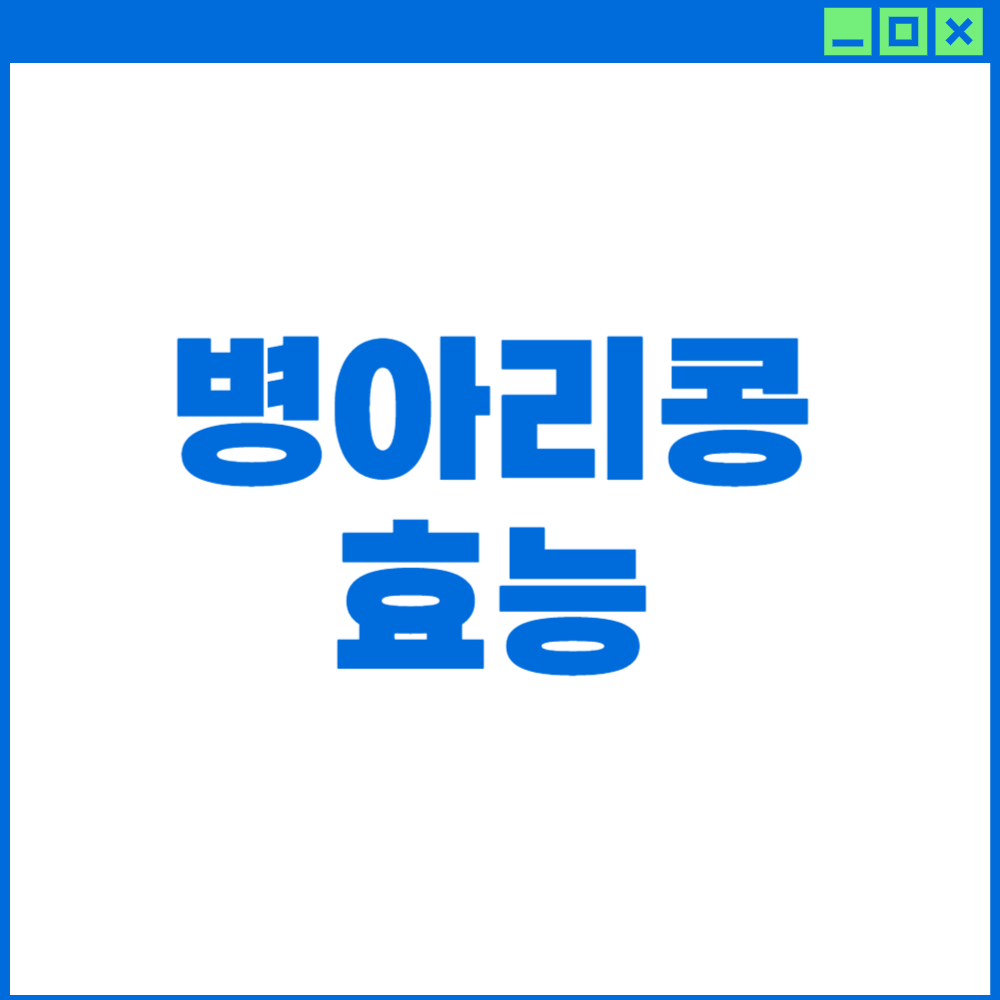 병아리콩-효능