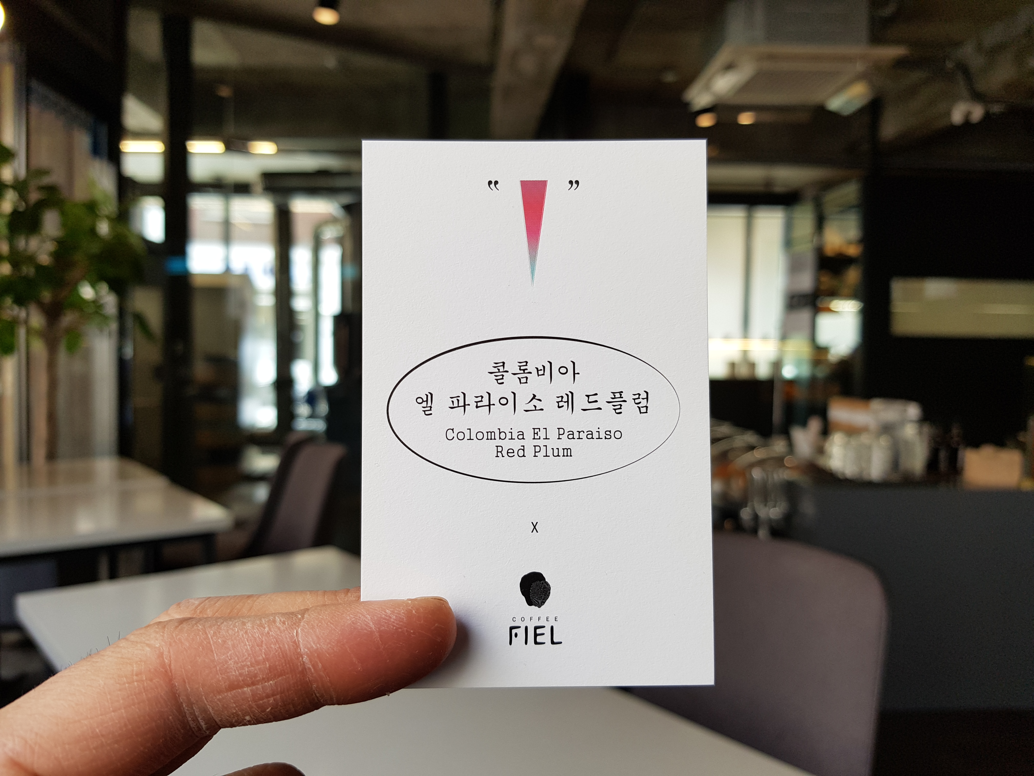  한잔의 커피에 충실한, 신사동 '커피휘엘'(Coffee FIEL)