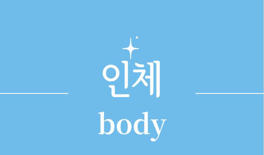 '인체(body)'