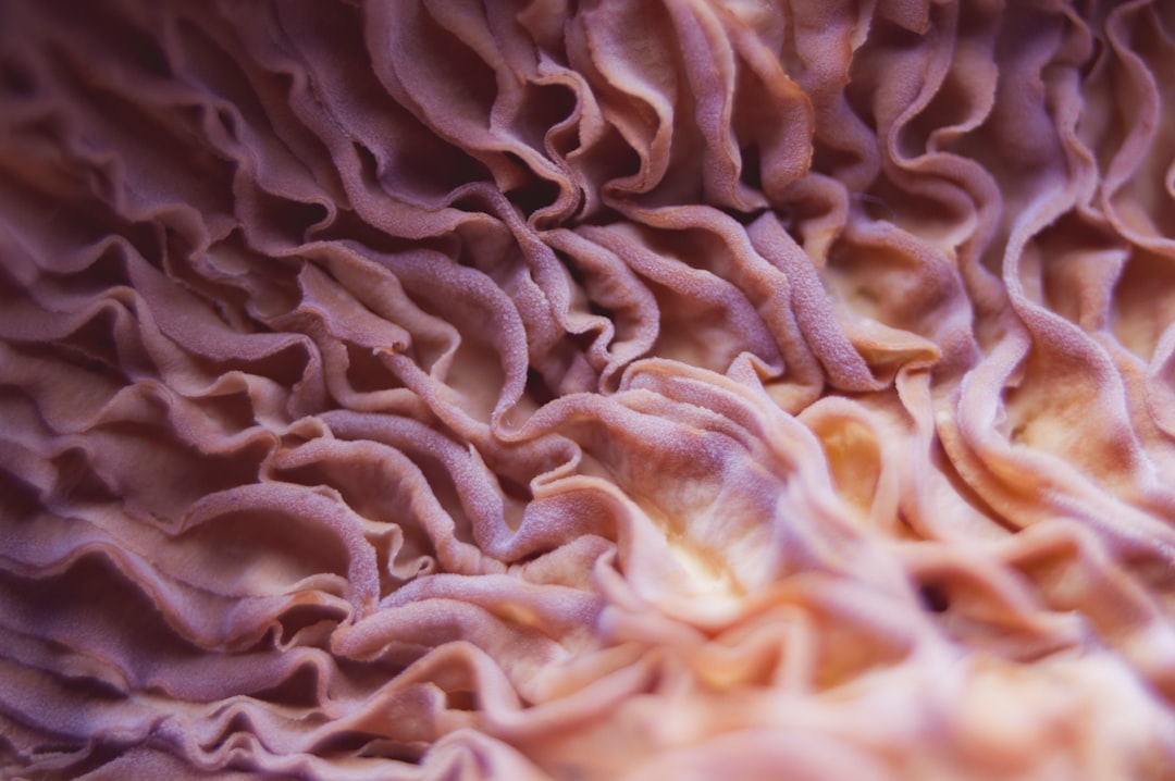 Fungus