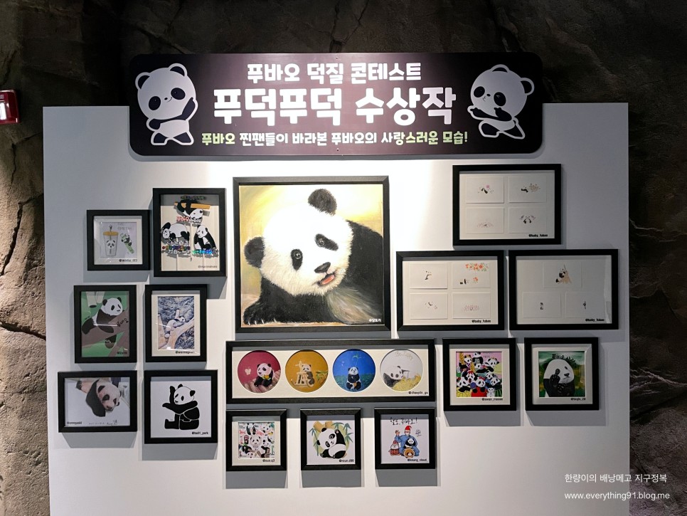 할인 레니 찬스로 판다 월드 에버랜드 자유이용권 37