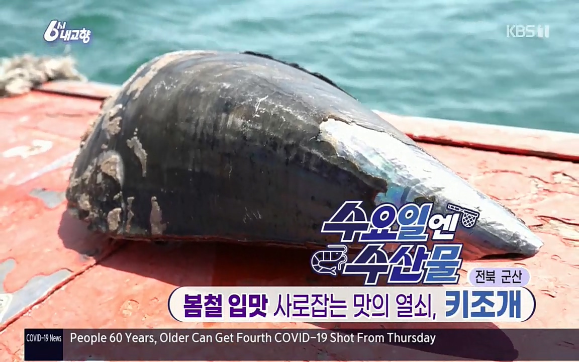 6시 내고향.E7510.220414p.H264-F1RST.mp4_20220419_183123.249.jpg
