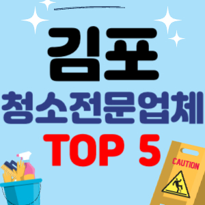 김포 입주청소 비용 가격 전문 아파트 후기 업체 이사청소 원룸청소 추천 견적 TOP 5