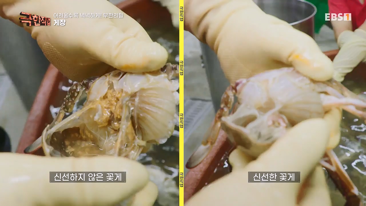 TV - 전 국민의 평생학교 EBS어려울수록 넉넉하게! 무한리필.mp4_20230922_211120.725.jpg