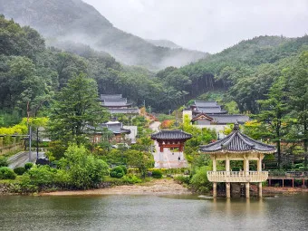 구미 가볼만한곳 베스트10 현지인 추천 필수코스_11