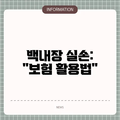 백내장 실손: 