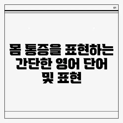 몸 통증을 표현하는 간단한 영어 단어 및 표현