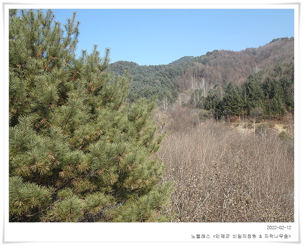 감일정원 이미지