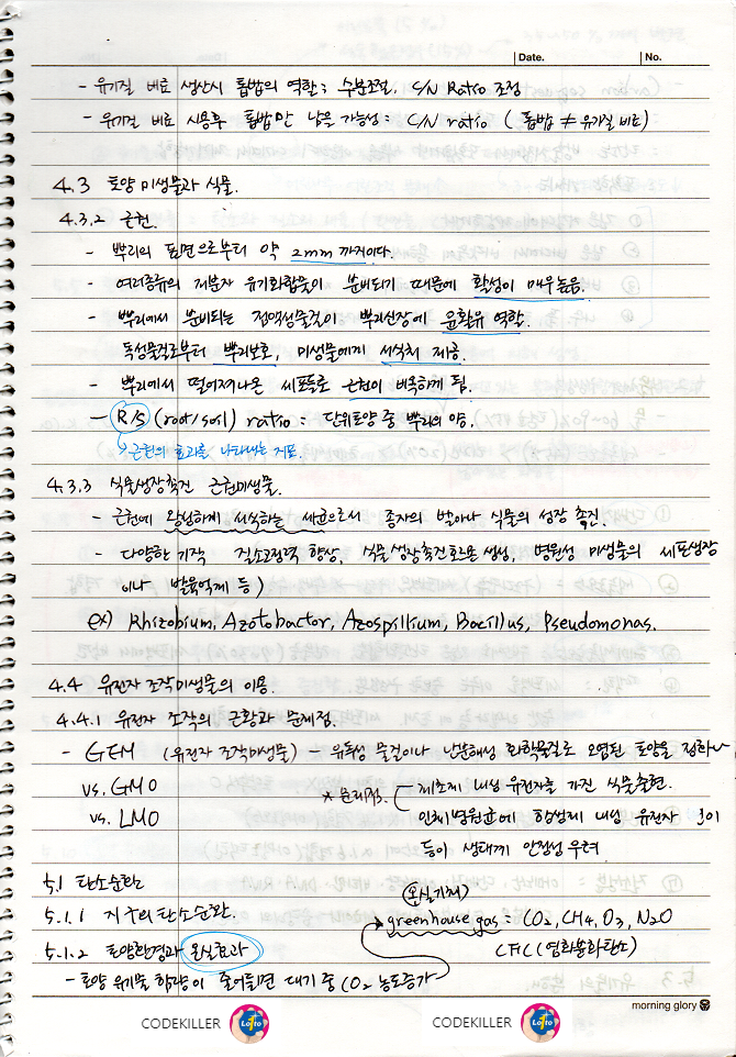  [토양학] 토양생물과 유기물 (근권, 근권미생물, 유전자조작 미생물의 이용)
