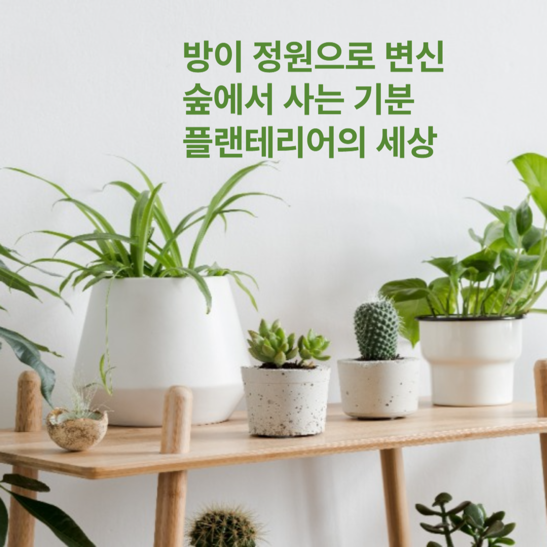 플랜테리어