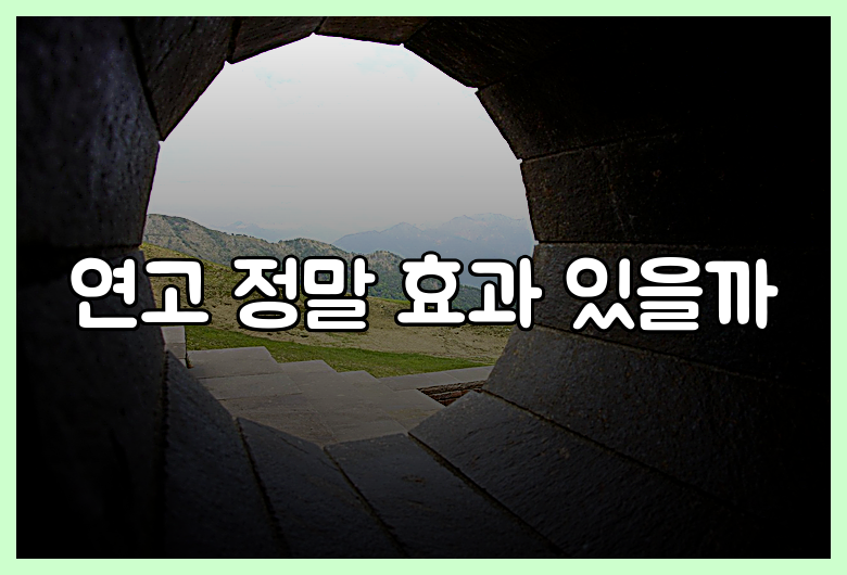 연고 정말 효과 있을까
