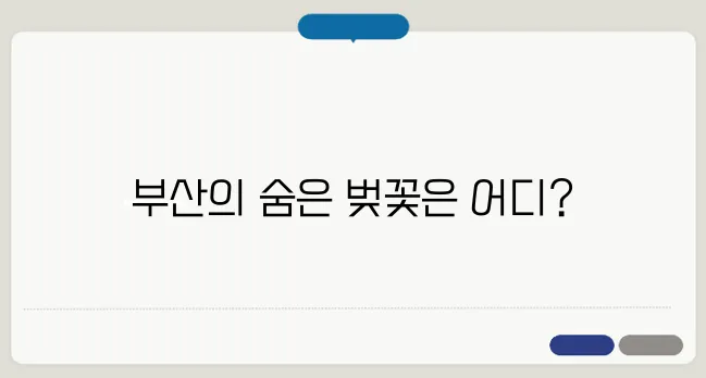 부산 벚꽃 명소 추천! 숨은 벚꽃 스팟 공개