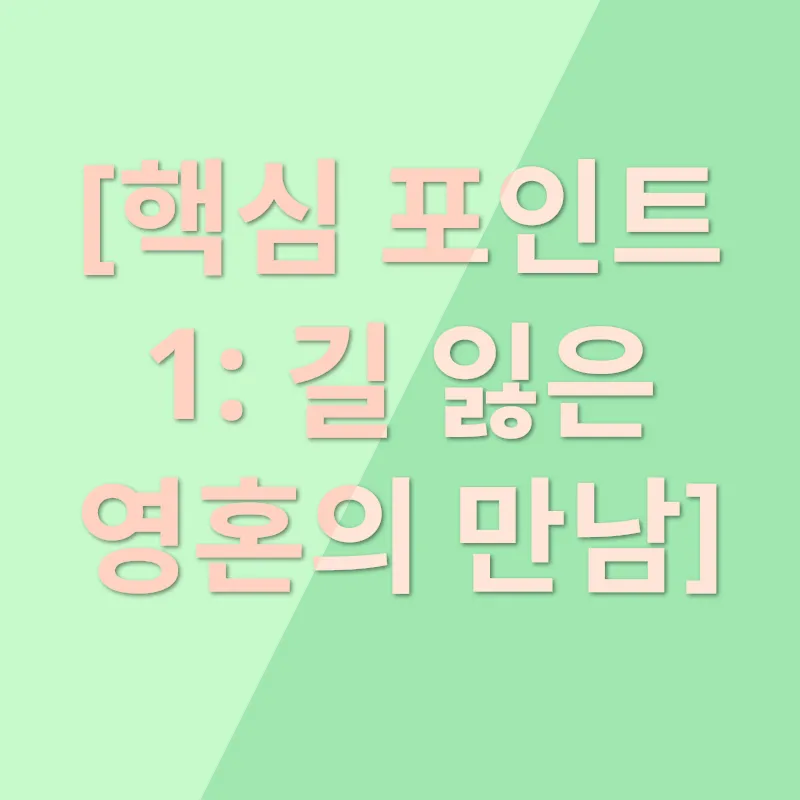 길냥이 입양, 반려동물 사랑_1