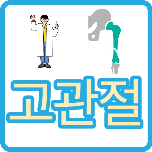 고관절염 증상 고관절 위치 소리 통증 원인