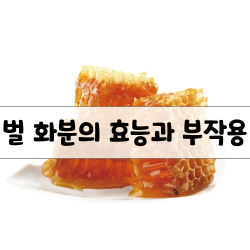 벌 화분의 효능과 부작용