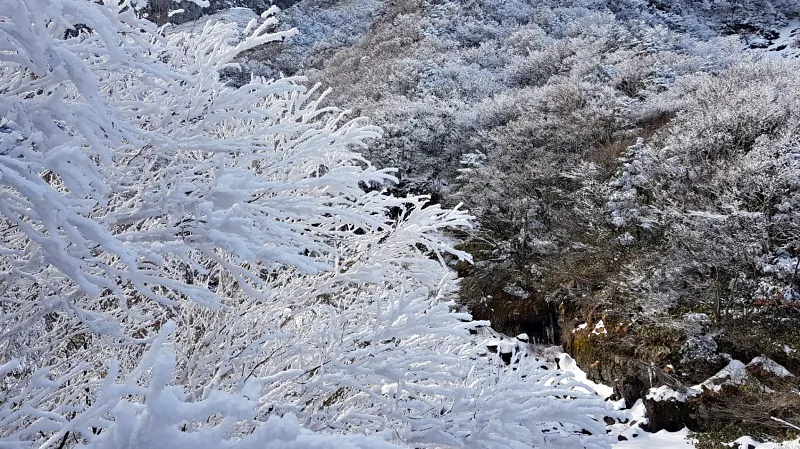 제주 한라산 설경 눈꽃