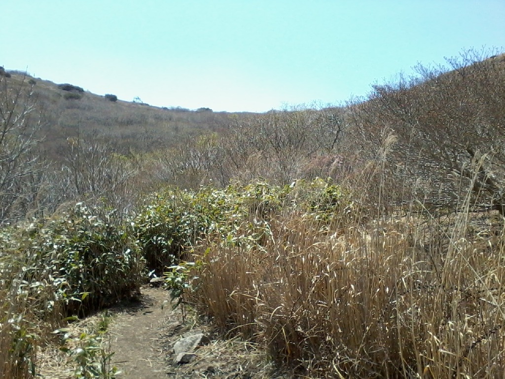  화엄벌