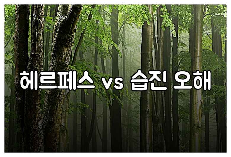 헤르페스 vs 습진 오해