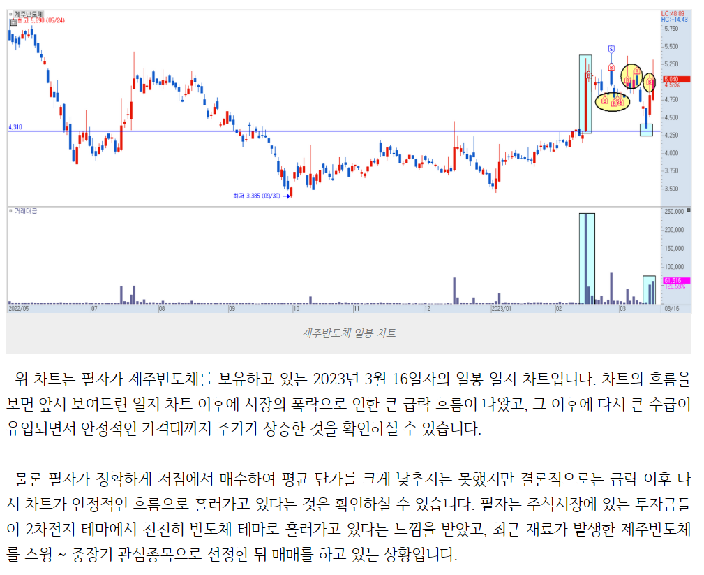 2023년 3월 16일 제주반도체 작성일자