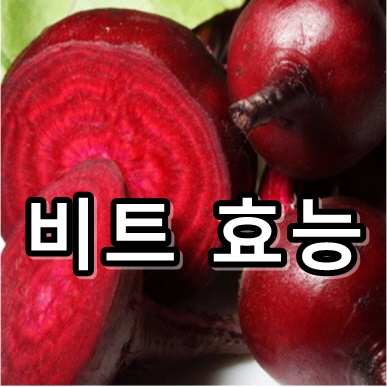  비트 효능 먹는 방법
