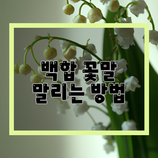  백합의 마지막 아름다움을 담은 마리 방지법