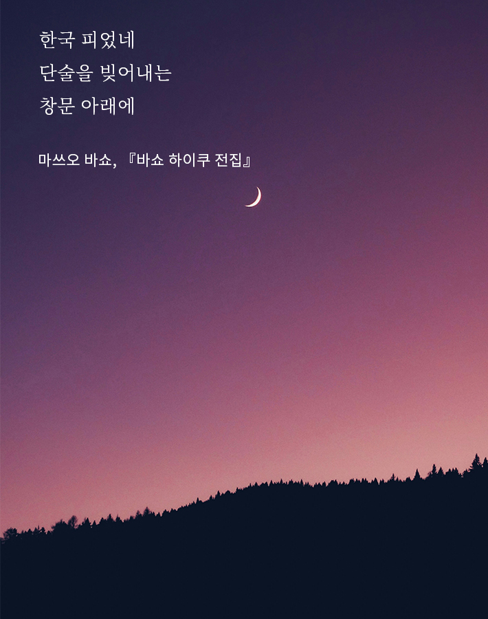 단술 이미지