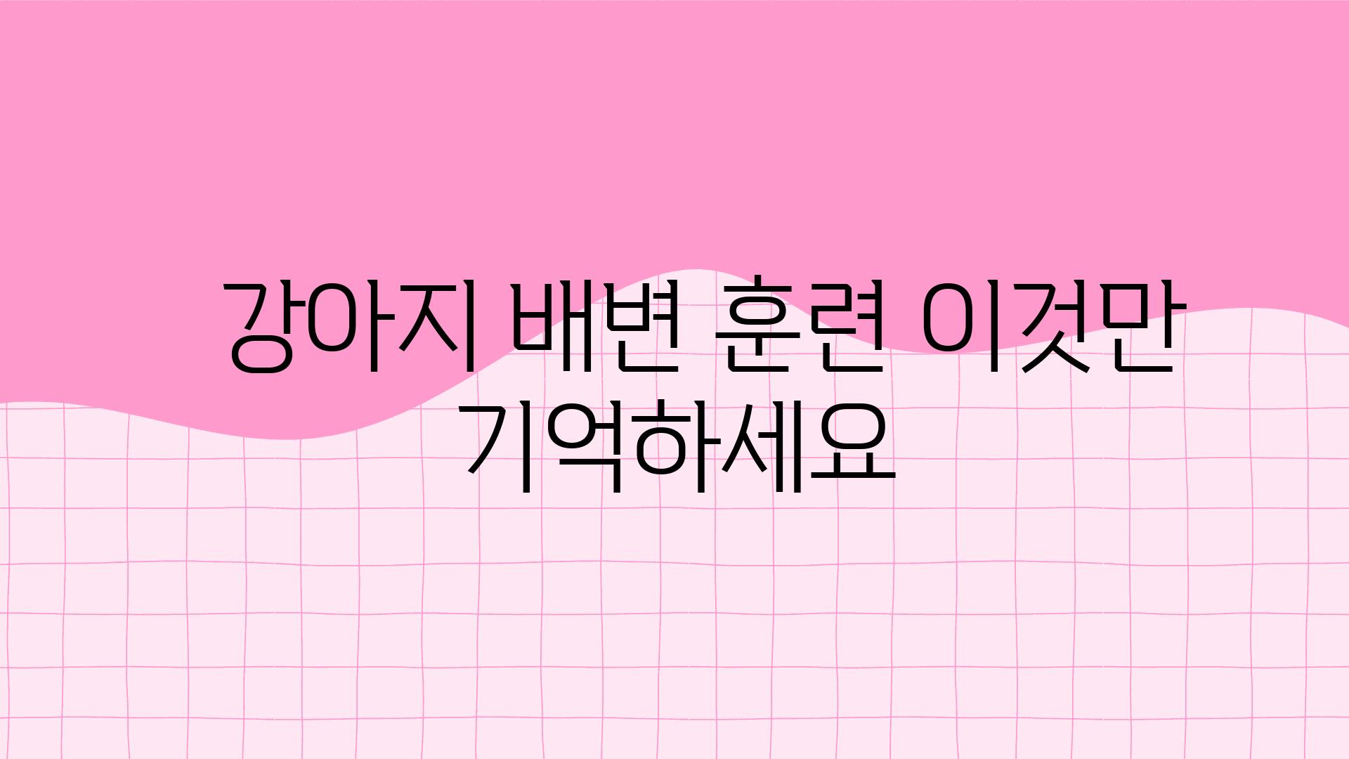   강아지 배변 훈련 이것만 기억하세요