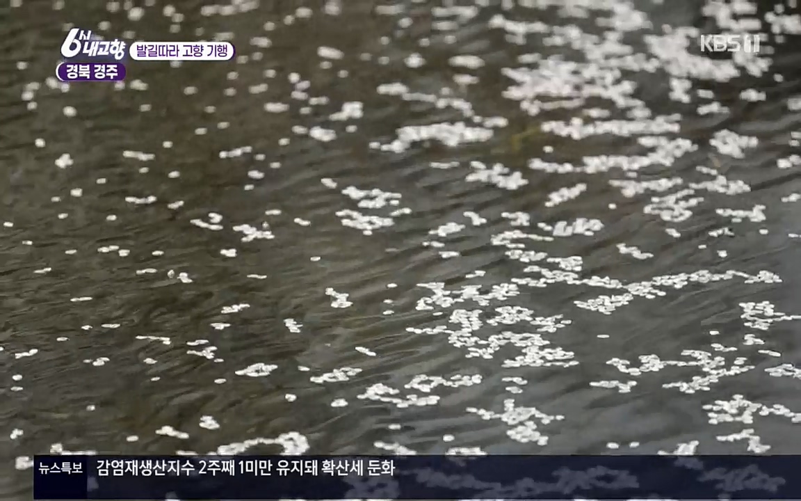 6시 내고향.E7510.220414p.H264-F1RST.mp4_20220419_185014.422.jpg