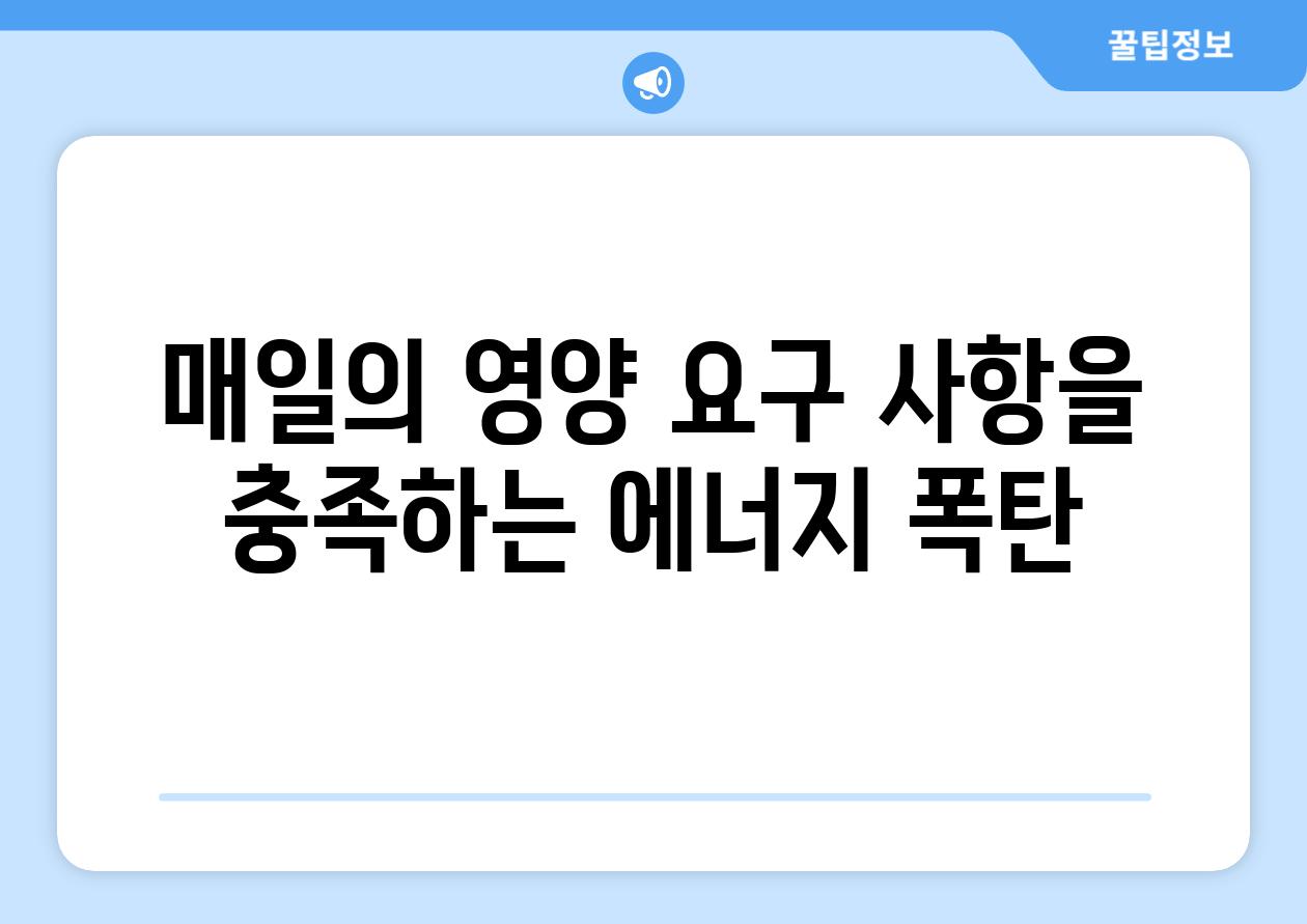 매일의 영양 요구 사항을 충족하는 에너지 폭탄