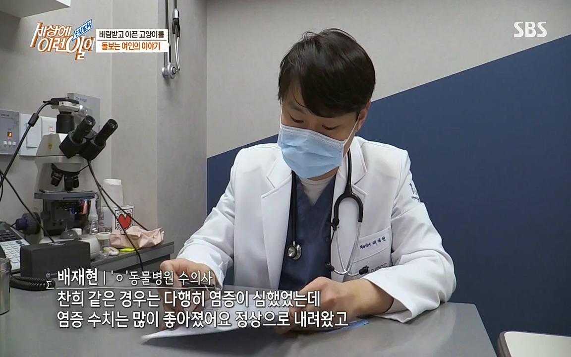 순간포착 세상에 이런일이.E1173.220330p-NEXT.mp4_20220330_174809.310.jpg
