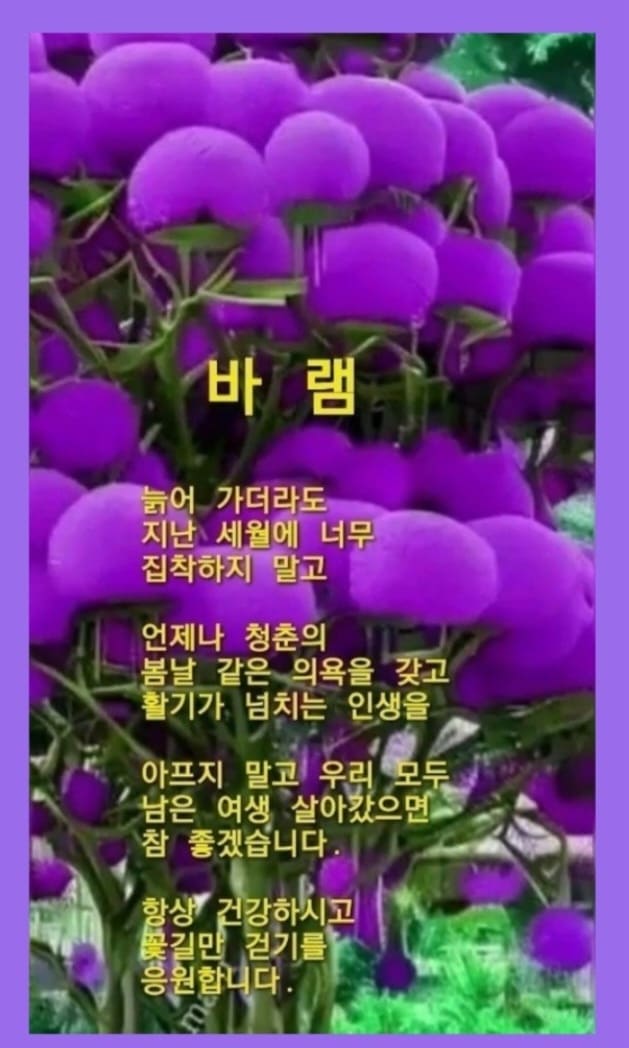 겨울 아침 인사말 카톡 좋은 글귀 문자 이미지 모음