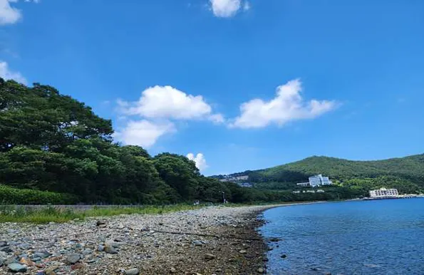 물건리방조어부림