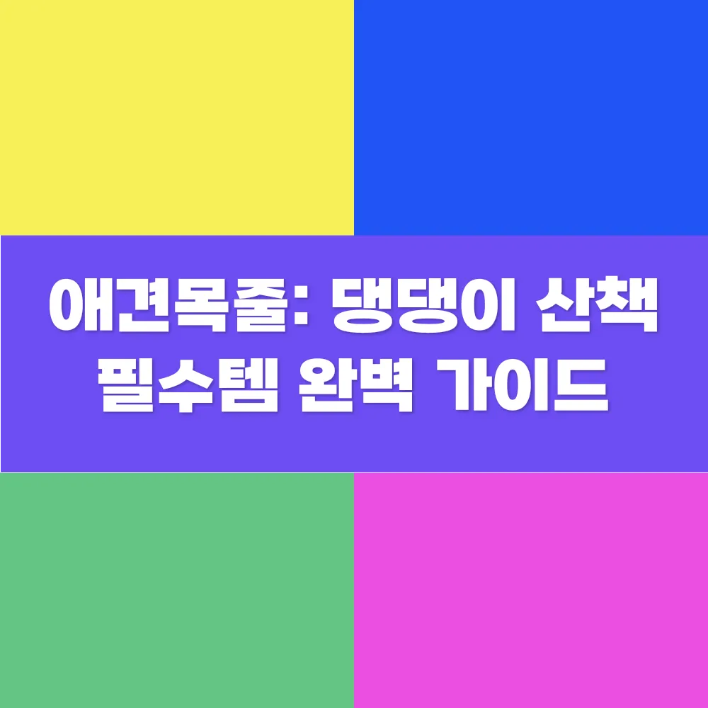 썸네일 이미지