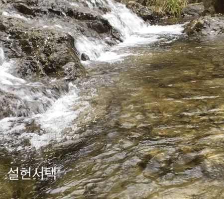 산목 이미지