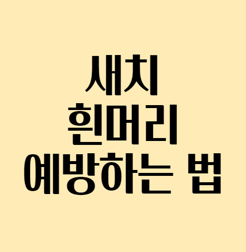 새치흰머리예방_섬네일