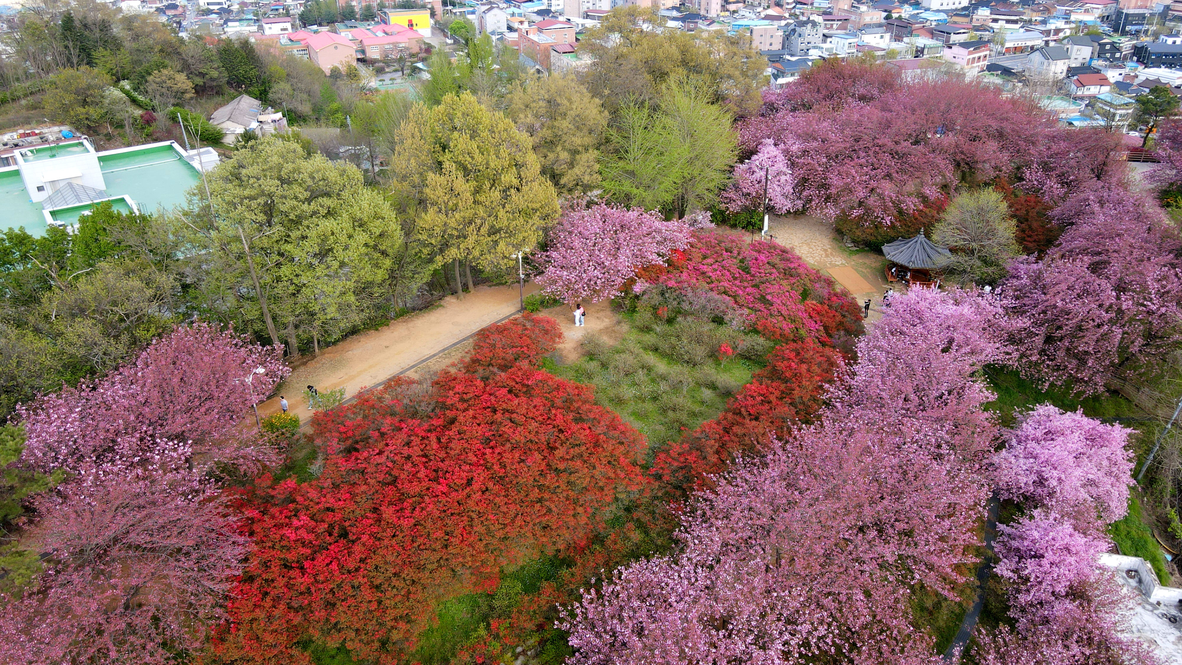 전주 완산칠봉 꽃동산(완산공원) 드론사진