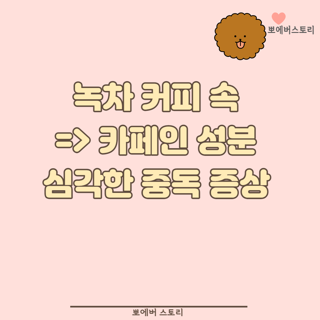 강아지카페인중독