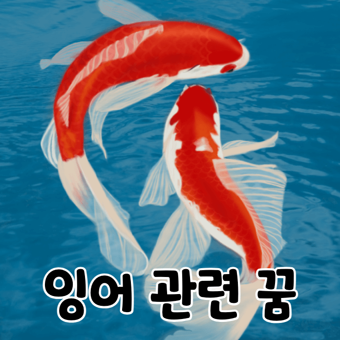 잉어 두마리