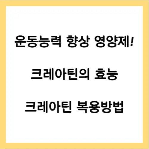 크레아틴 효능