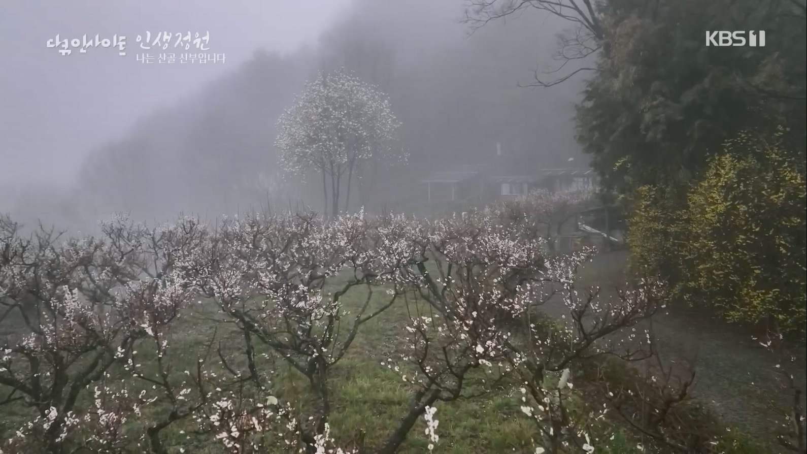 다큐 인사이트.E153.230608p.H264-F1RST.mp4_20230612_204059.619.jpg