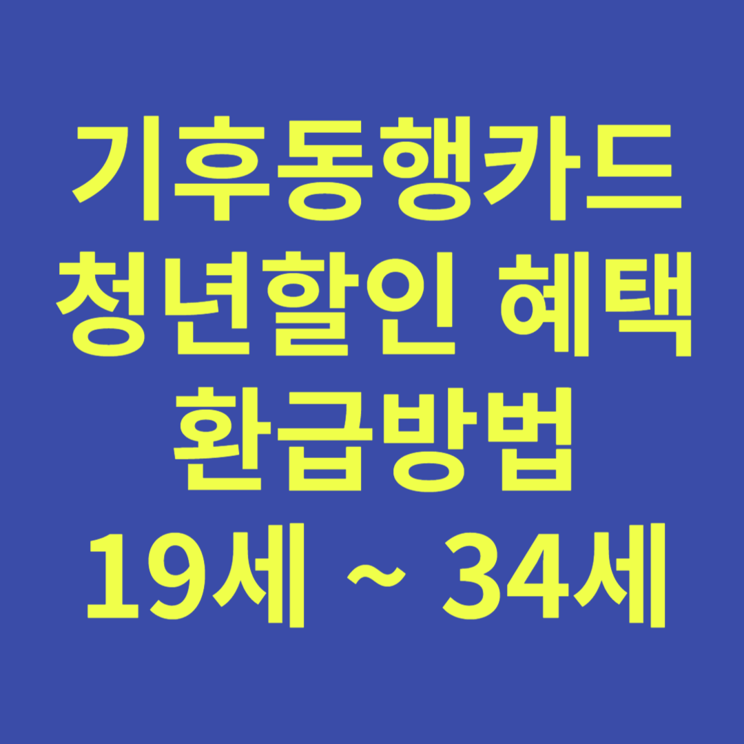 기후동행카드 청년할인