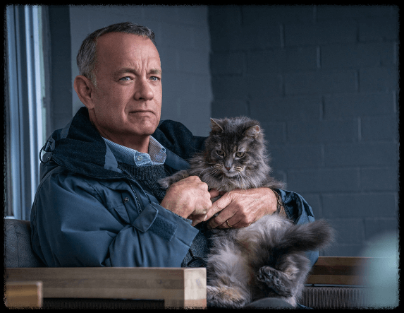 고양이를 안고 있는 오토