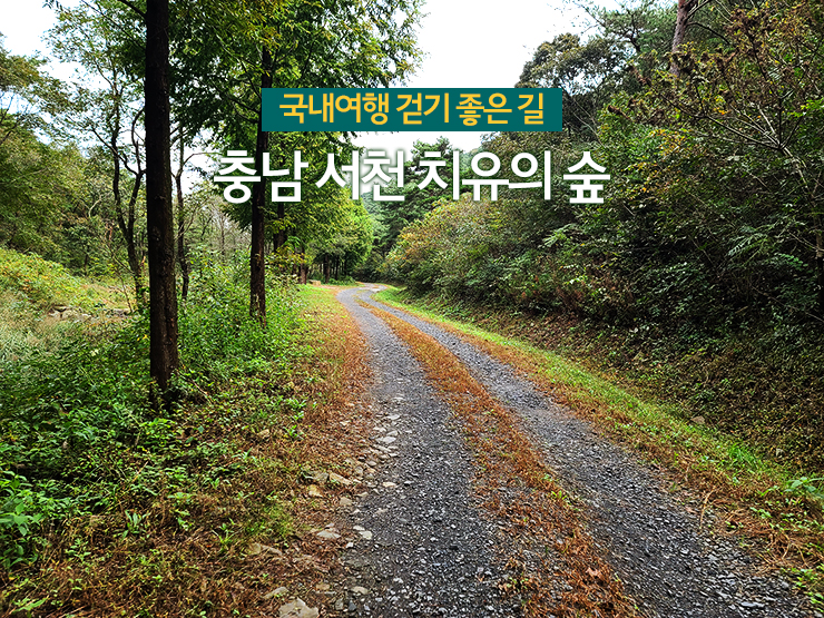 충남 걷기 좋은 숲길 국내여행 걷기 좋은 길, 4