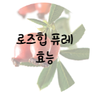 이 이미지를 클릭 하시면 로즈힙의 효능과 부작용에 관한 포스팅으로 이동 됩니다.