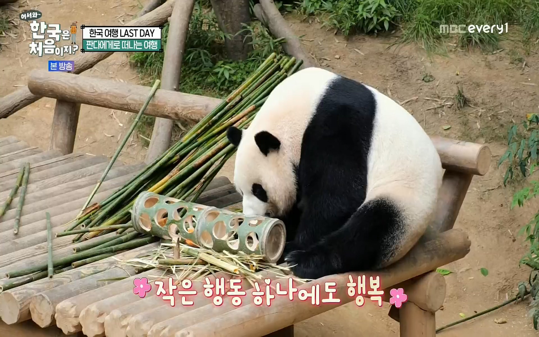 어서와~ 한국은 처음이지.E259.220901p.H264-F1RST.mp4_20220902_202146.867.jpg