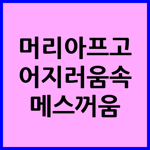 머리아프고 메스꺼움