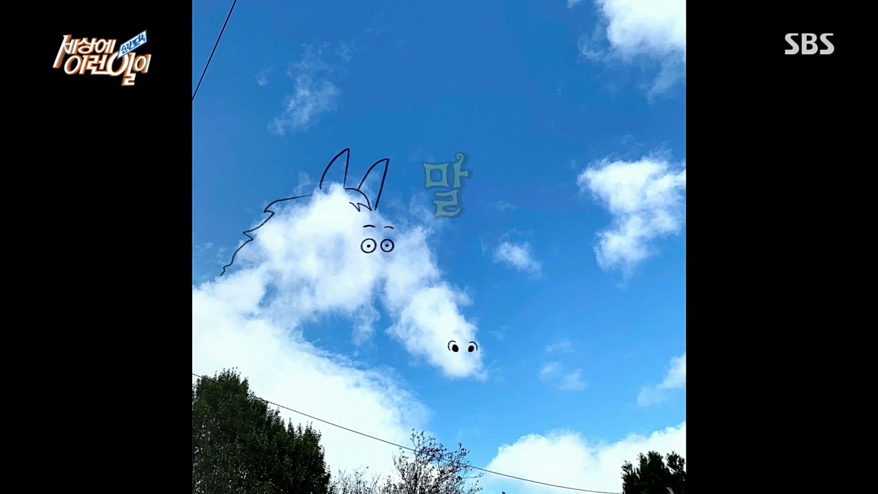 순간포착 세상에 이런일이.E1203.221026p.H264-F1RST.mp4_20221026_185304.287.jpg