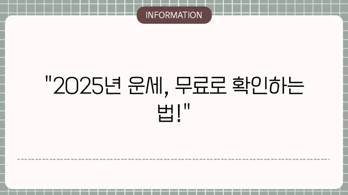 사주 분석
