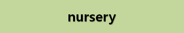  뉴스로 영어 공부하기: nursery (묘목장)