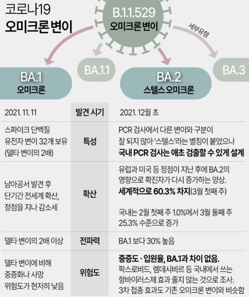 오미크론 변이 비교표-사진